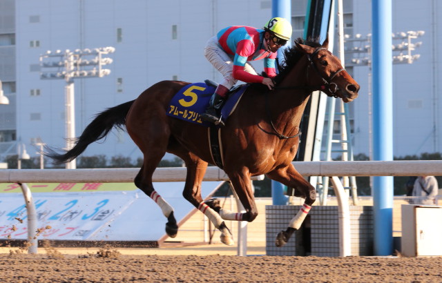 �A���[���u���G