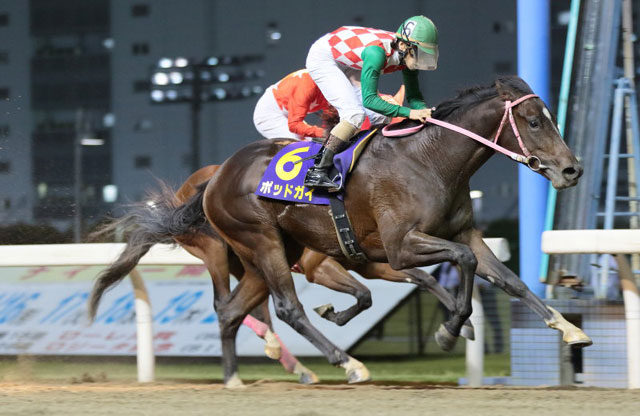 �|�b�h�K�C