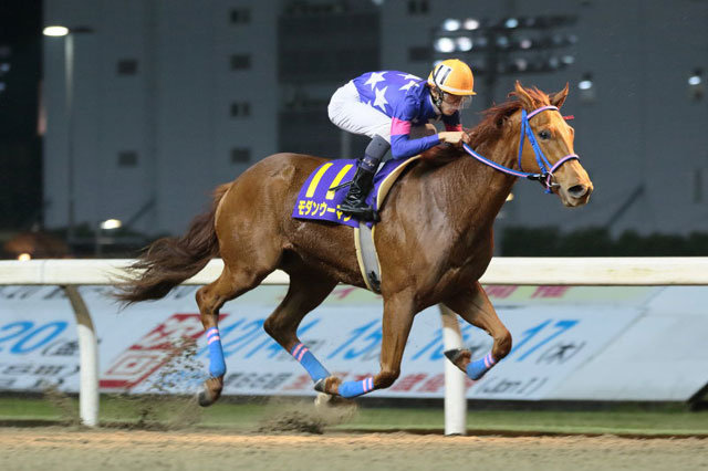 ���_���E�[�}��