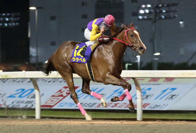 �����x��