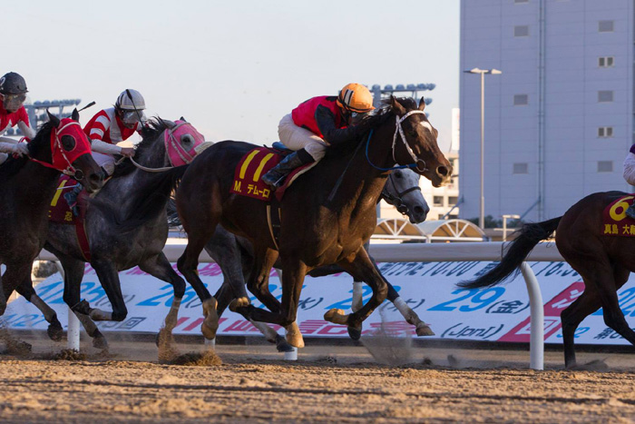 ����S�[��